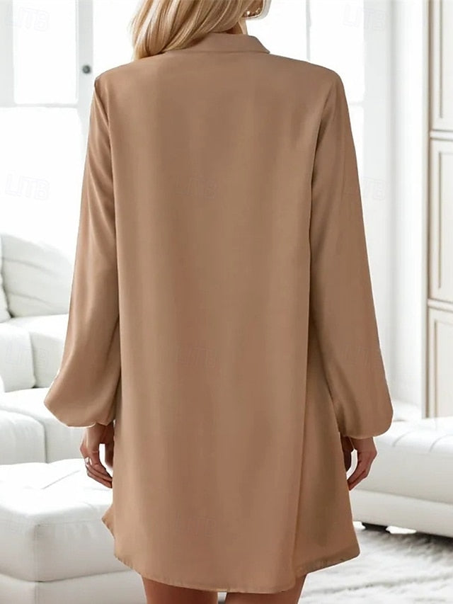 Women's Mini Dress Casual Dress Fashion Classic Modern