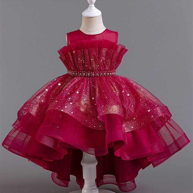 Flower Dress Girl Kid's Girls' Princess