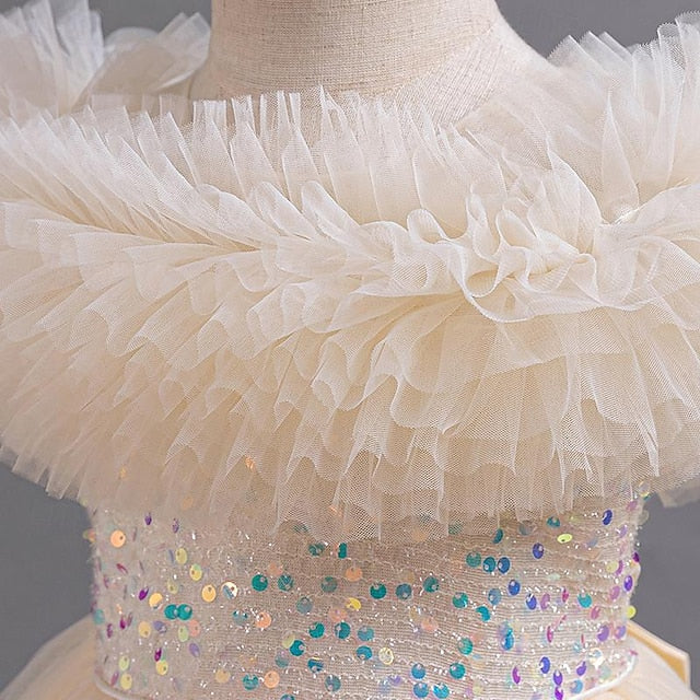 Kids Girls' Sleeveless Flower Party Sequin Girl Dress