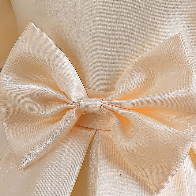 Girls' Dress Party Flower Girl Wedding Special