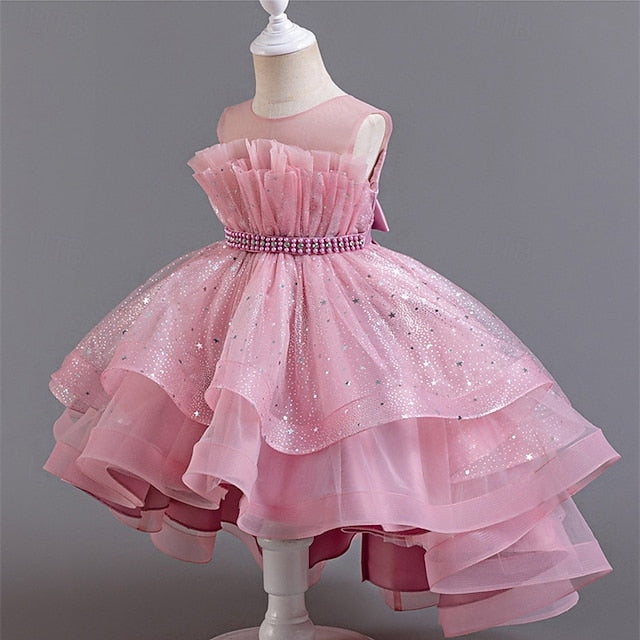 Flower Dress Girl Kid's Girls' Princess