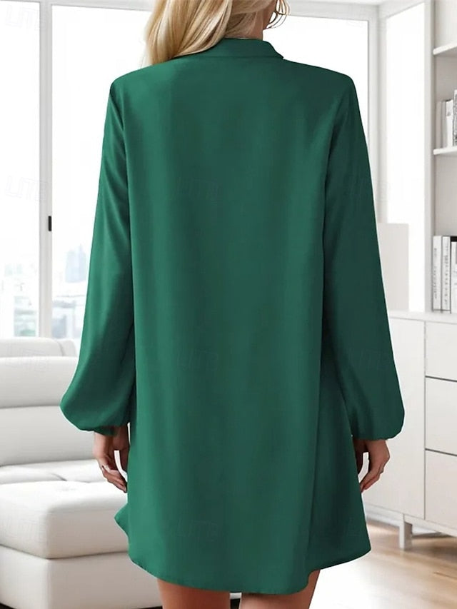 Women's Mini Dress Casual Dress Fashion Classic Modern