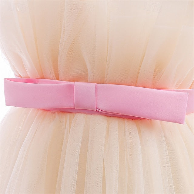 Princess Girls' Girl Flower Kid's Dress