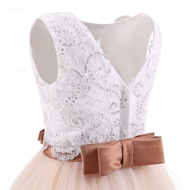 Flower Girls' Kid's Princess Dress Girl
