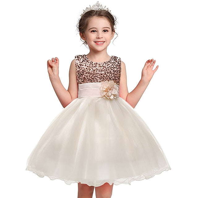 Girls' Wedding Party Girl Dress Flower