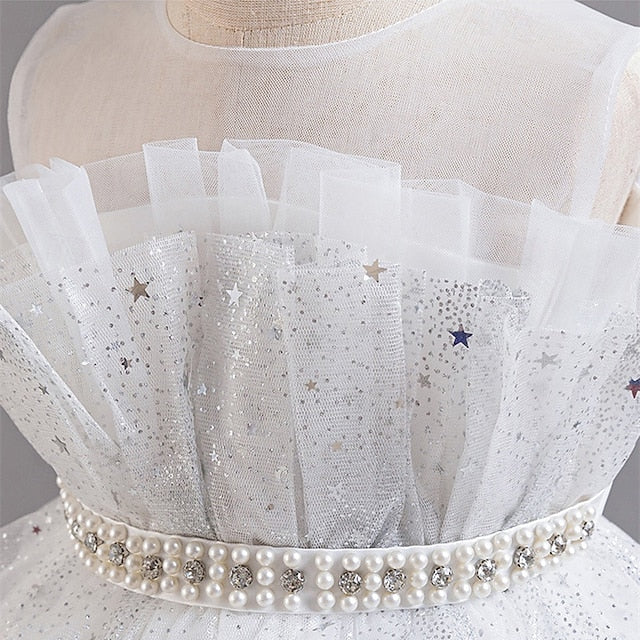 Flower Dress Girl Kid's Girls' Princess