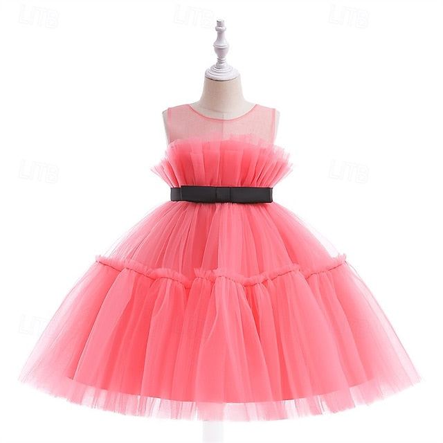 Princess Girls' Girl Flower Kid's Dress