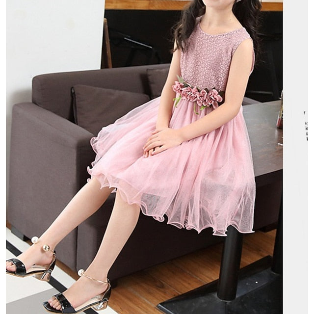 Girl Performance Party Dress Girls' Flower