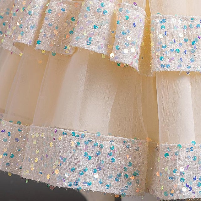 Kids Girls' Sleeveless Flower Party Sequin Girl Dress